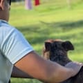 Ángel espera ser adoptado desde hace 11 años