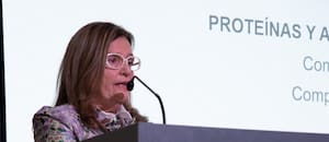 Un mapa reveló un dato inesperado sobre la calidad de la soja argentina