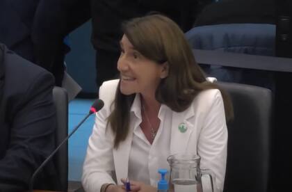 Ángeles Naveyra, productora e integrante de la fundación, durante su exposición en la Comisión de Agricultura de la Cámara de Diputados