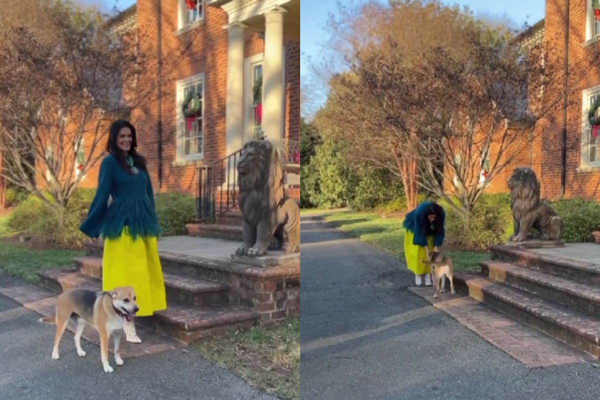 Angie Harmon denunció la muerte de su perro en Instagram