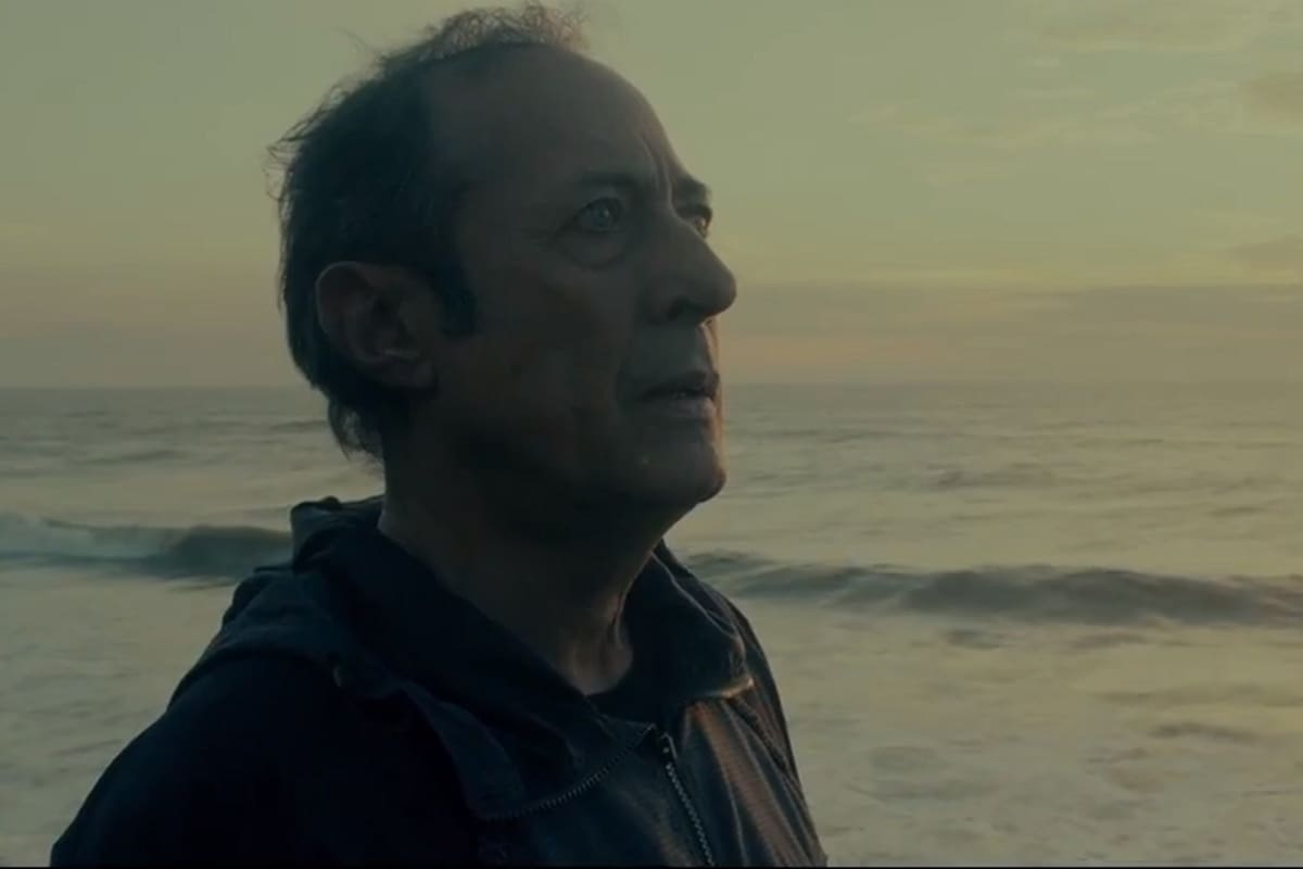 Animal llevó anteayer más público que la película de Han Solo