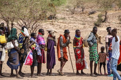 Animales mueren en Kenia mientras la sequía deja a muchas personas con hambre