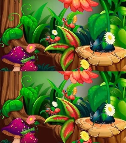 Animate a encontrar las siete diferencias en dos minutos