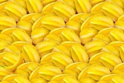 Animate a jugar a este reto visual y poné a prueba tu inteligencia