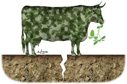 Aniversario de la 125