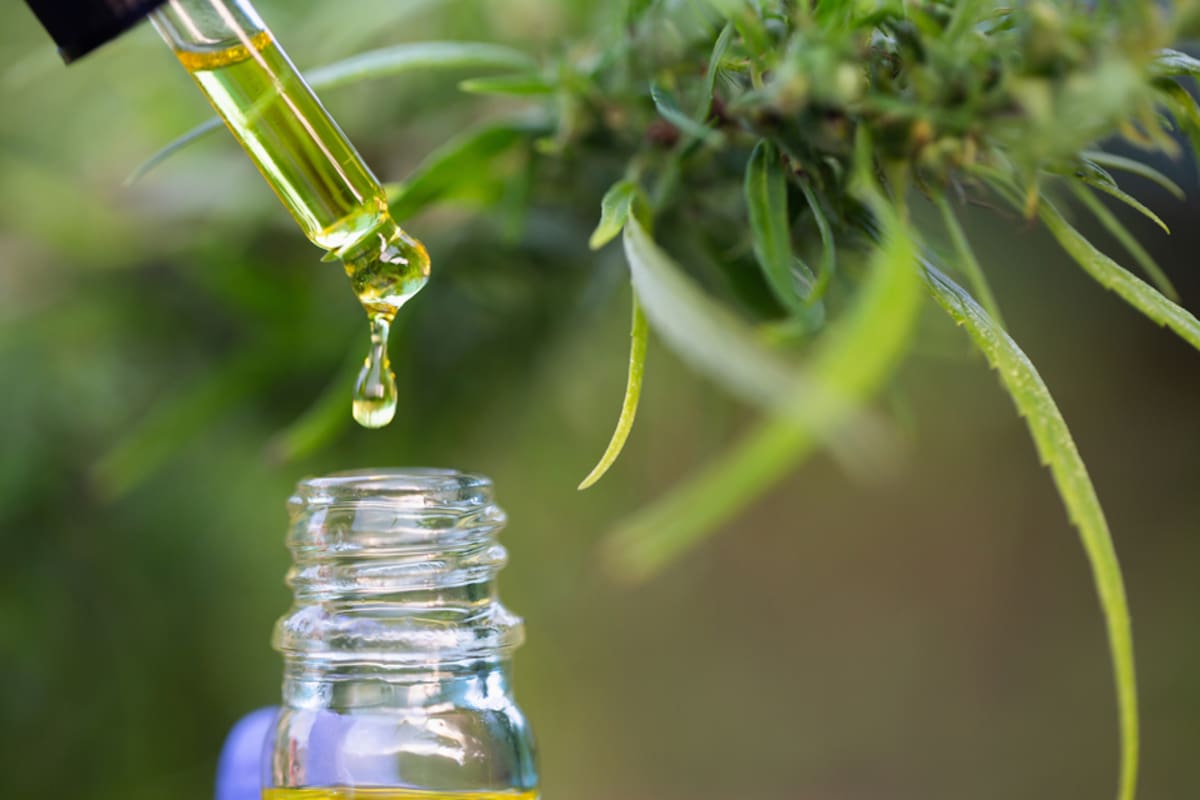 Anmat prohibió, entre otras cosas, la comercialización de un aceite de CBD que no contaba con la autorización necesaria