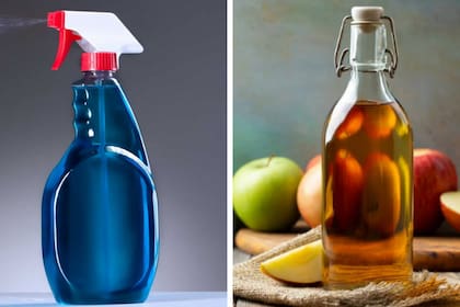 Anmat prohibió la venta de un desinfectante de superficies y un vinagre de manzana por considerarlos "productos ilegales"