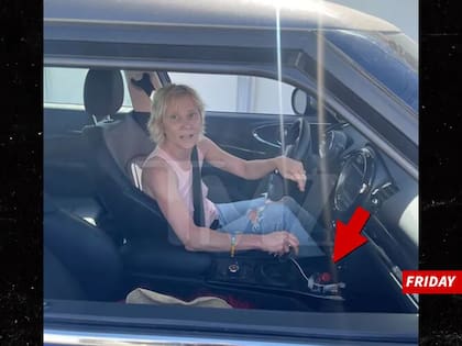 Anne Heche antes del accidente; TMZ muestra que podría tener una botella de alcohol en el vehículo