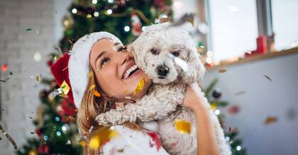 Año Nuevo: ¿Cómo afecta el uso de la pirotecnia en las mascotas?