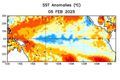 Anomalías (°C) promedio de la temperatura de la superficie del océano (SST, por sus siglas en inglés) para la semana centrada el 5 de febrero de 2025. Las anomalías son calculadas utilizando como referencia los periodos promedio semanales de 1991-2020.