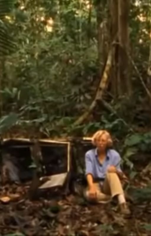 Años más tarde, Juliane volvió al lugar del accidente