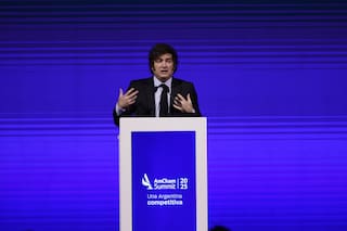 ANSA/Argentina: Milei, "cambiamos la ley sobre los glaciares, obstaculiza el desarrollo"