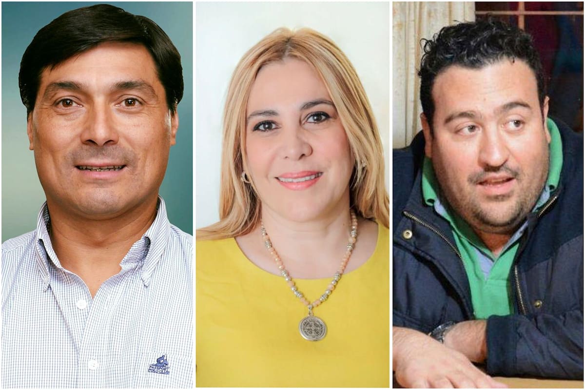 Ansaloni, Avila y Carambia le darán quorum al próximo oficialismo