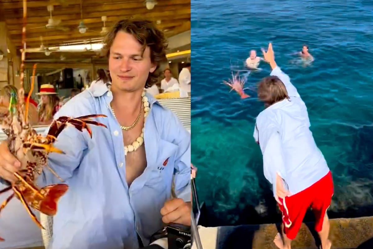 Ansel Elgort quiso ayudar a la fauna marina y devolvió una langosta al mar