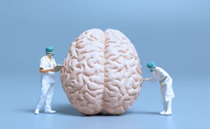 Ante el miedo, estrés o preocupación, el cerebro primitivo se despierta y se pone en alerta para la supervivencia