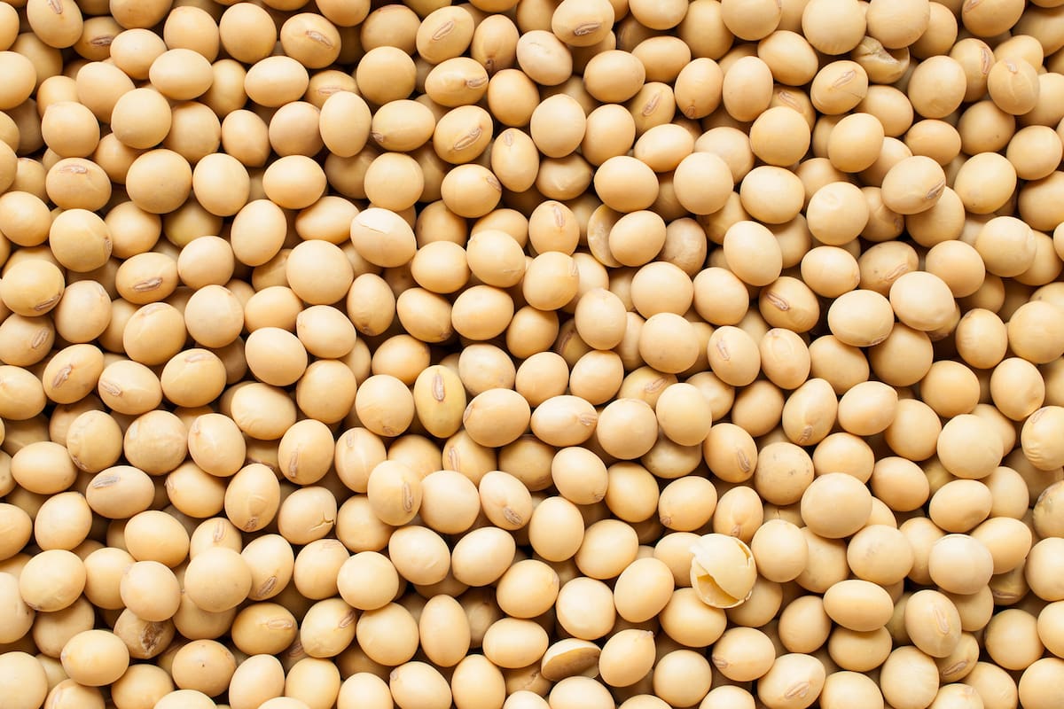 Ante la chance de menores rindes que los previstos en Estados Unidos subieron los precios de la soja