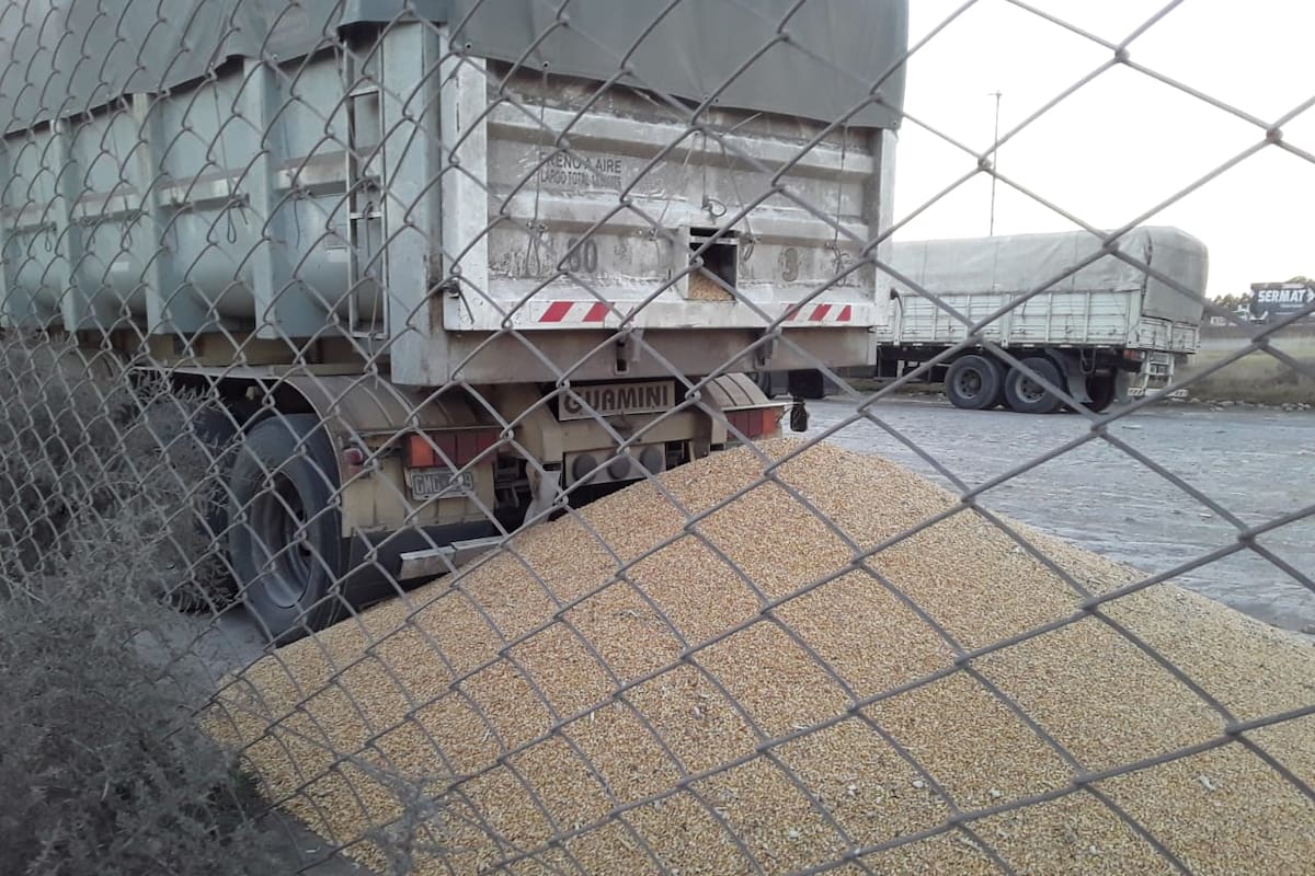 Anteayer abrieron boquillas a camiones que quisieron ingresar con cereales al puerto de Bahía Blanca para descargar