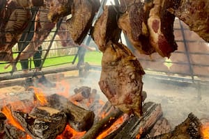 Antenor es una de las grandes opciones para visitar Tomás Jofré