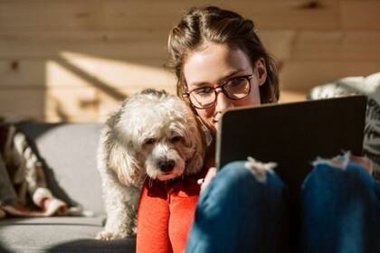 Antes de aceptar trabajar desde casa, verifica que tienes una buena conexión a Internet
