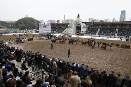 Antes de anunciar el veredicto, Ojea Rullán destacó el nivel alcanzado por la raza y reconoció la dificultad que implicó conformar la fila final de campeonas