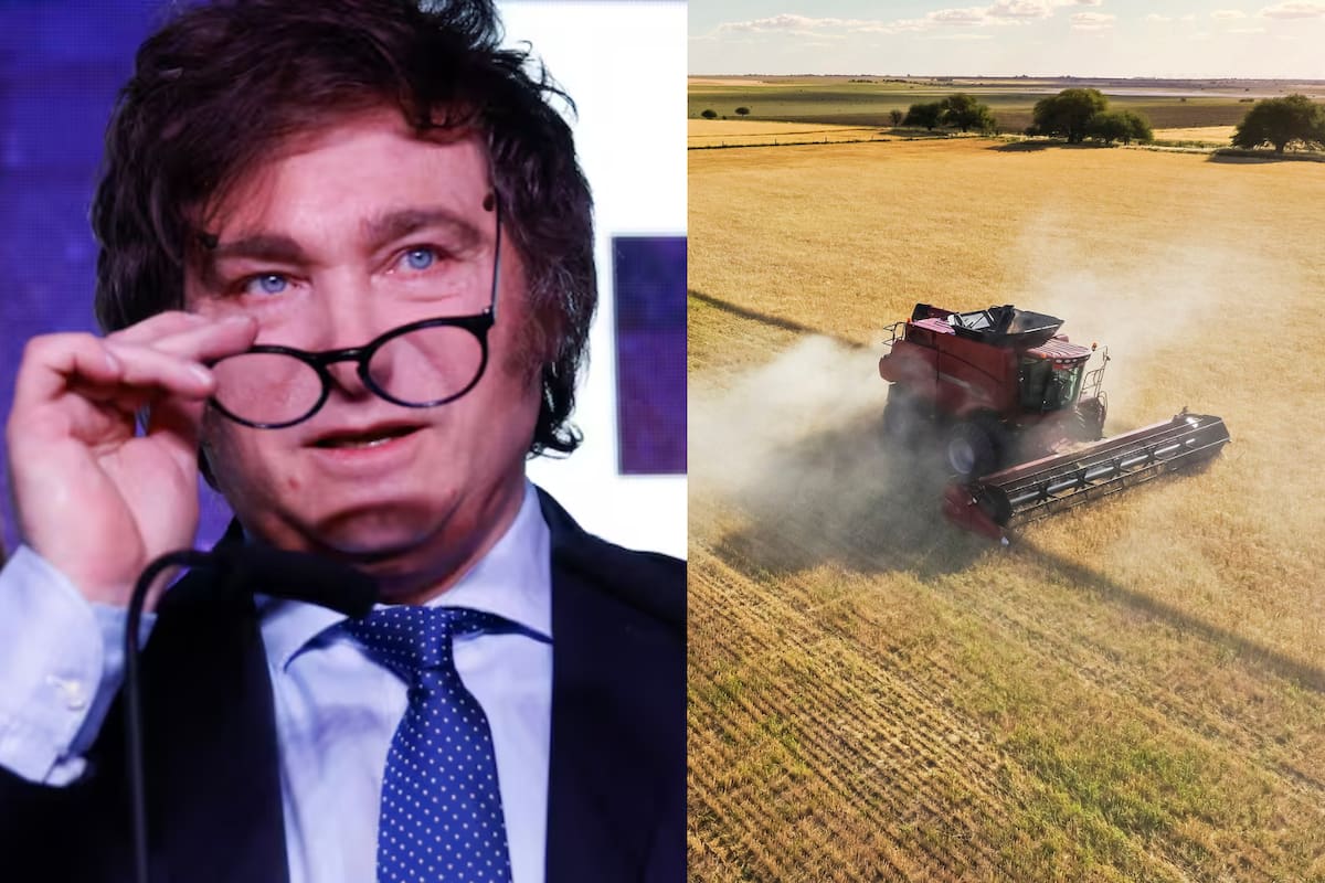 Antes de asumir, el gobierno de Javier Milei se comprometió a bajar las retenciones a los productos agroindustriales