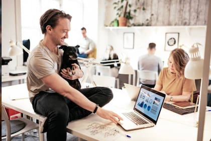 Antes de considerar ir con la mascota a un centro comercial o a algún lugar petfriendly es importante tener en cuenta qué tan necesario es acudir a estos lugares con ellos (Foto Unsplash)