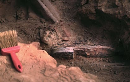 Antes de encontrar los restos del Che los especialistas hicieron más de 2000 perforaciones en los alrededores de donde creían que estaba su fosa