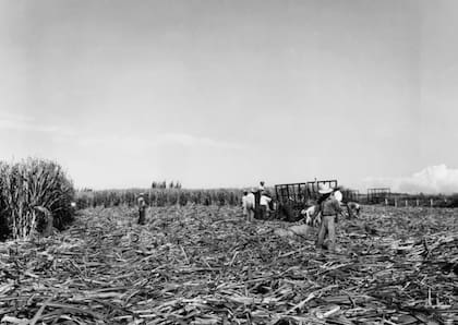 Antes de la década del 1940 la economía de Puerto Rico se basaba en el cultivo de café, caña o tabaco.