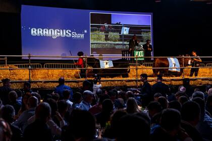 Antes de las ventas desfilaron los campeones de la raza