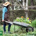 El método de las cuatro capas para diseñar un jardín más lindo y con menos mantenimiento