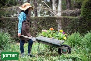 El método de las cuatro capas para diseñar un jardín más lindo y con menos mantenimiento