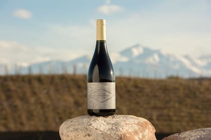 Antes incluso de que la bodega estuviera terminada, ya había nacido uno de los vinos más emblemáticos surgido de esa visión.