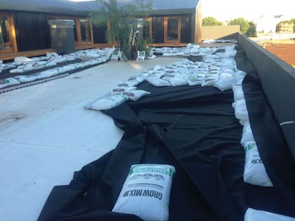 Antes. Para que en la terraza pudiera existir una cubierta verde, previamente hubo que colocar placas drenantes colocadas sobre una carpeta de cemento, luego el geotextil y al final el sustrato, donde se plantarían las distintas especies de plantas.