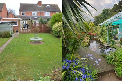 Antes y después: una pareja transformó el clásico fondo de su casa en un paisaje exuberante