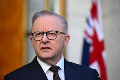 Anthony Albanese dijo que agentes de OpenAI habían ingresado en junio a un portal gubernamental de datos de salud