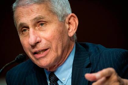 Anthony Fauci, director del Instituto Nacional de Alergias y Enfermedades Infecciosas, habla durante un Comité Senatorial de Salud, Educación, Trabajo y Pensiones.