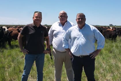 Anthony, James y Nick Hayman