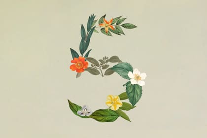 Anthropic publicó su nuevo modelo de IA Sonnet 5
