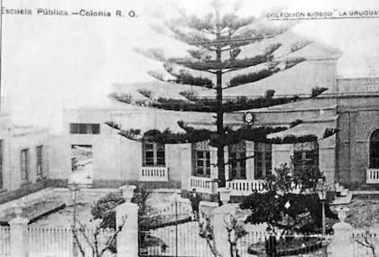 Antigua foto de la Escuela Nro, 2 de Colonia, en los terrenos que le fueron otorgados a Rivadavia para la producción de cera y miel.