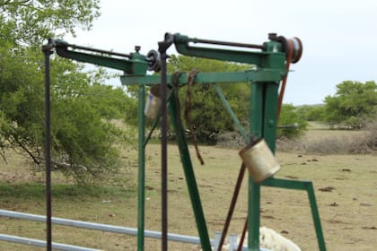 Antiguamente, las “latas”, eran las fichas redondas hechas con golpes de un martillo que se utilizaban para pagar por cada oveja esquilada. Cuando terminaba la zafra, el esquilador iba con ese manojo de fichas para cobrarse su paga
