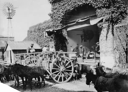 Antiguo frente de Bodega Robinson