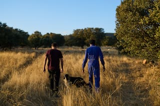 Antiguo y olvidado oficio en España recibe impulso gracias a los migrantes africanos
