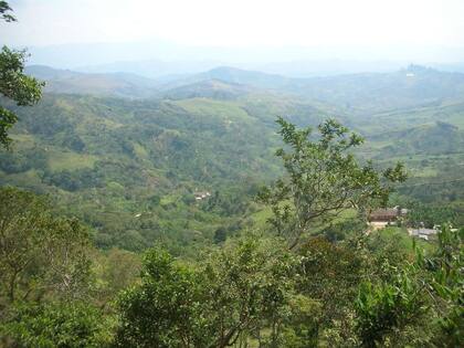 Antioquia, una región aislada, con gran prevalencia de Alzheimer