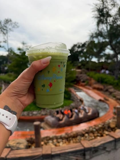Anto Roccuzzo compartió las mejores postales de su visita a Disney (Foto: Instagram @antonelaroccuzzo)