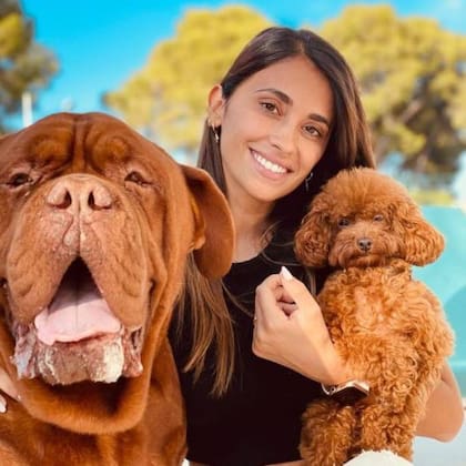 Anto Roccuzzo con los dos perros de la familia
