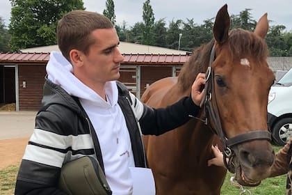 Antoine Griezmann, junto a uno de sus caballos, en Francia; el futbolista comenzó como propietario y ahora también cría