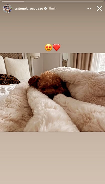Antonela y Abú se acompañaron para sobrellevar el frío que hace en Europa (Foto: Instagram @antonelaroccuzzo)