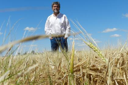 Antonio Aguinaga, gerente de Investigación y Desarrollo de Cervecería y Maltería Quilmes