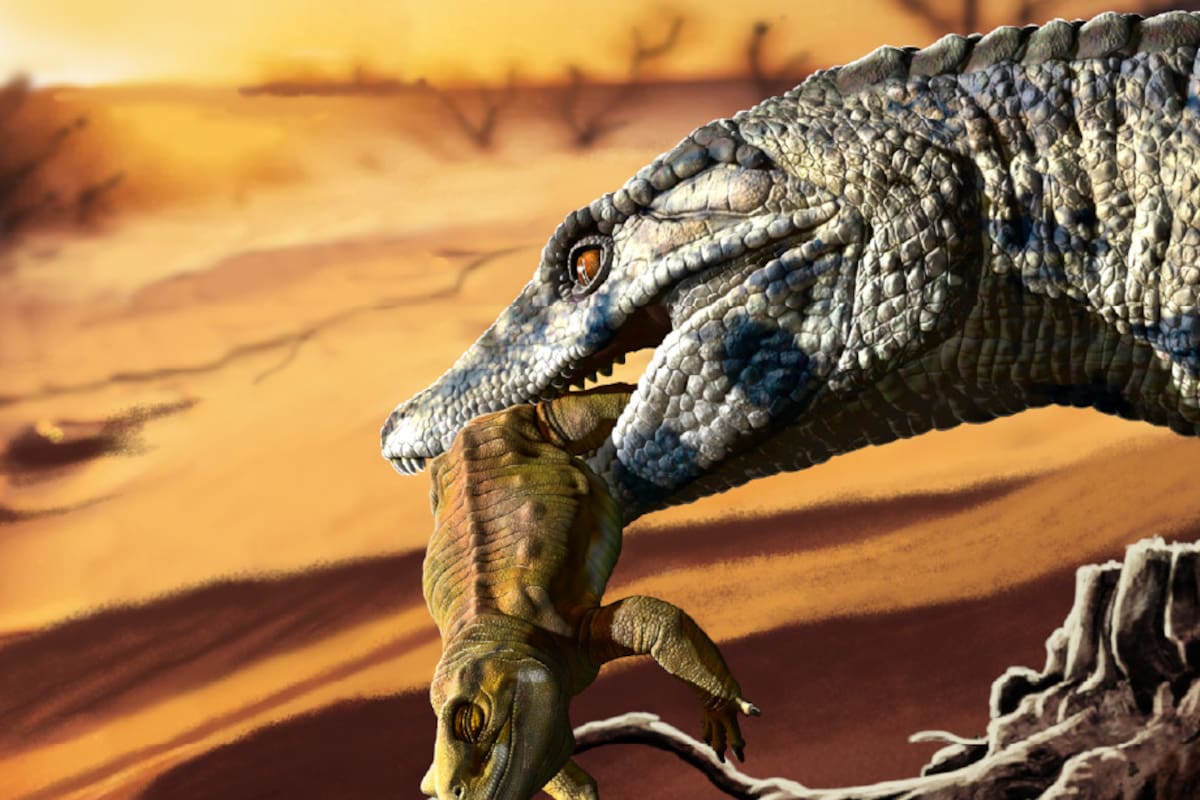 Adaptado à terra: uma nova espécie fóssil de um superpredador do Cretáceo identificada na Patagônia
