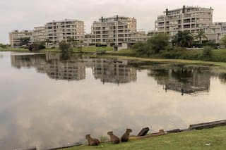 Fotógrafos y cineastas se miden en una competencia internacional que cumple veinte años